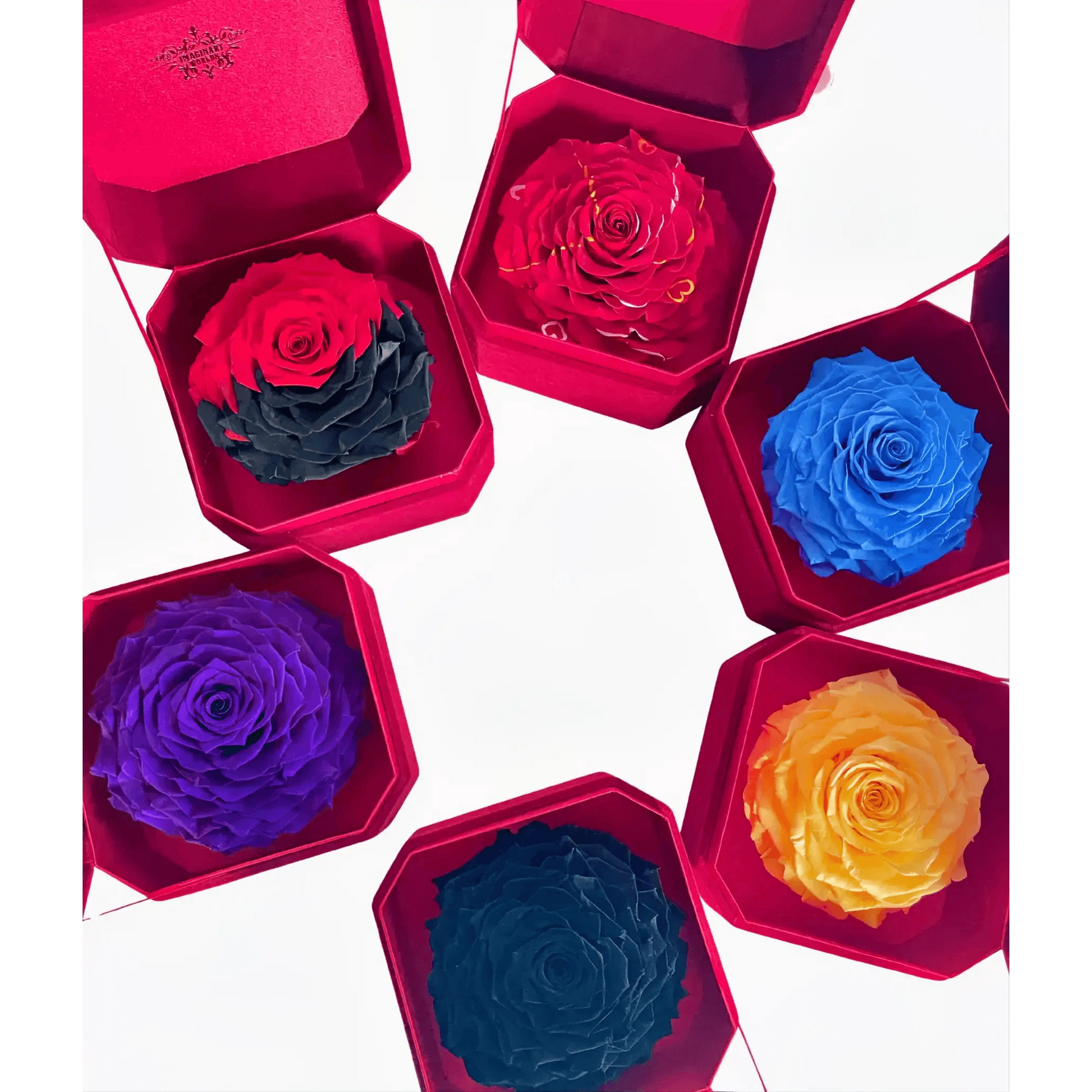 Eternal Love Token Rose Imaginary Worlds