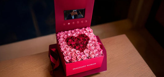 Christmas Forever Roses – Celebrate the Holidays in the United States - Imaginary Worlds