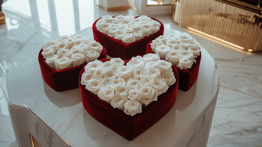 White Roses for Funerals and Memorials – Saying Goodbye with Grace - Imaginary Worlds