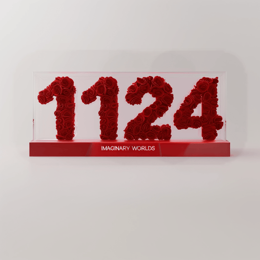 1124 Rose Box – Stability and Self - Expression - Imaginary Worlds