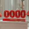 Angel Number 0000 Rose Box - Imaginary Worlds