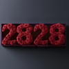 Angel Number 2828 Rose Box - Imaginary Worlds