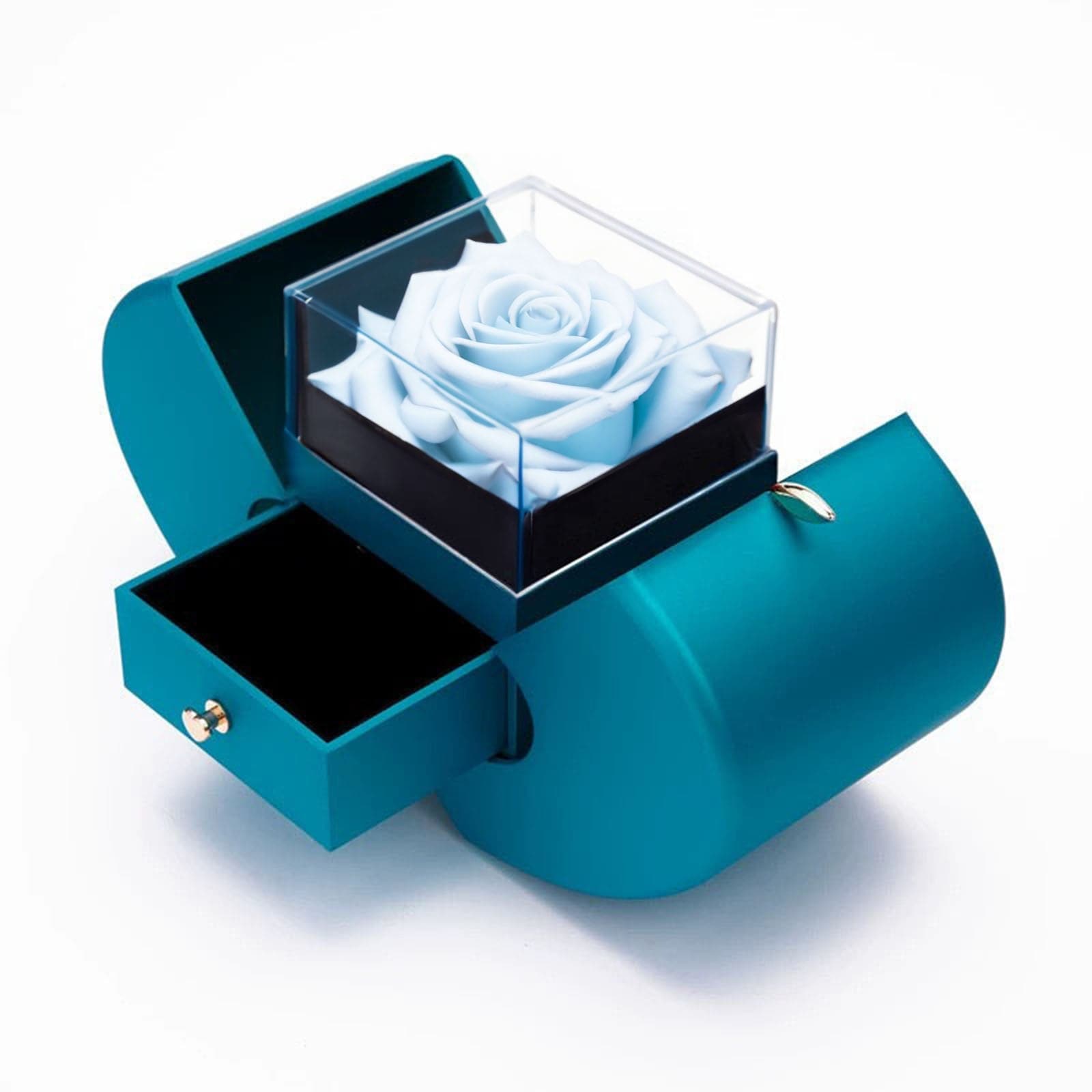 Apple Store Enchanted Rose Gift Box - Imaginary Worlds