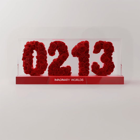 Aquarius 213 Rose Box – Innovation and Progress Gift - Imaginary Worlds