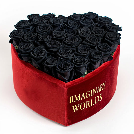 Black Forever Roses in Heart - Shaped Velvet Box - Imaginary Worlds