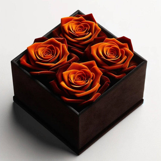 Dark Orange Forever Roses in Black Velvet Box - Imaginary Worlds