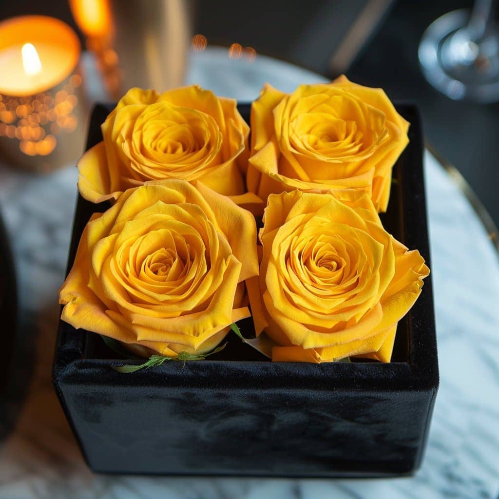 Ensemble of Yellow Forever Roses in Black Velvet Box - Imaginary Worlds