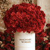 Forever Carnation Box – Red Edition - Imaginary Worlds