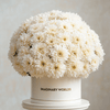 Forever Chrysanthemum Box – White Edition - Imaginary Worlds