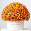 Forever Sunflower Box – Golden Gradient Edition - Imaginary Worlds