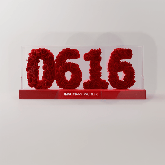 Gemini 616 Rose Box – Communication and Versatility Gift - Imaginary Worlds