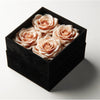 Peach Forever Roses in Black Velvet Box - Imaginary Worlds