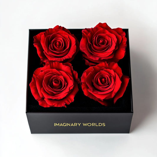 Preserved Burgundy Roses in Black Square Box - Imaginary Worlds