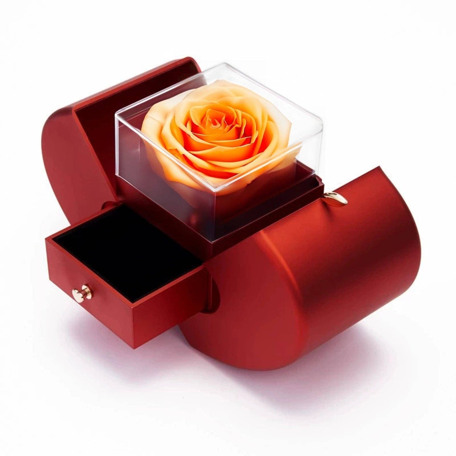 Orange Roses in Acrylic Box