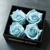 Serene Light Blue Forever Roses in Black Velvet Box - Imaginary Worlds