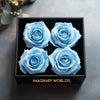 Serene Light Blue Forever Roses in Black Velvet Box - Imaginary Worlds