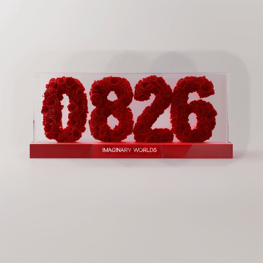 Virgo 826 Rose Box – Practicality, Service, and Precision - Imaginary Worlds