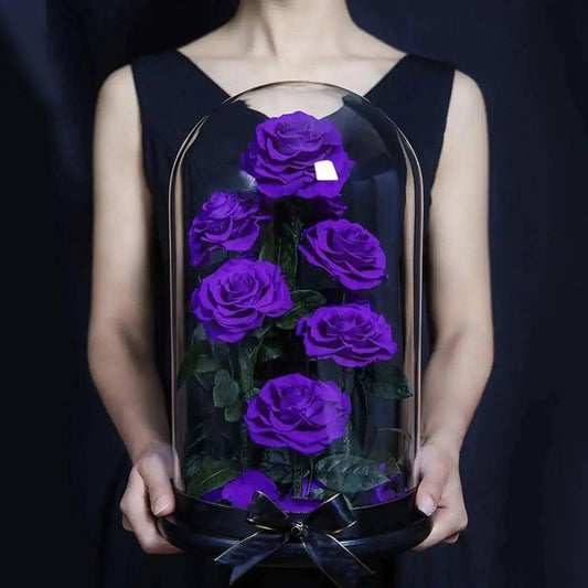 9 Purple Rose Set - Imaginary Worlds