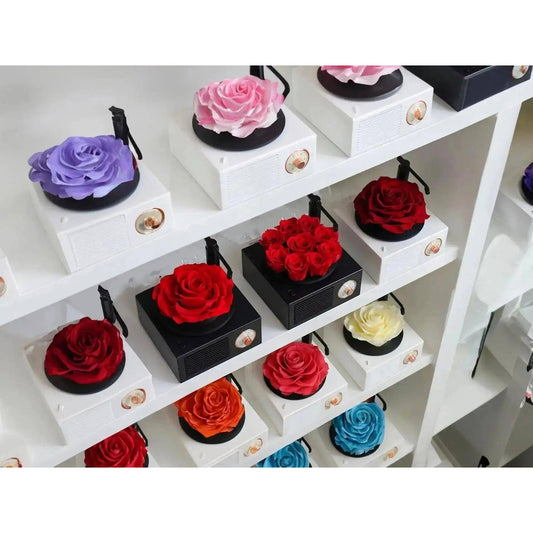 Forever Roses Bluetooth Speaker: Elegance in Sound - Imaginary Worlds