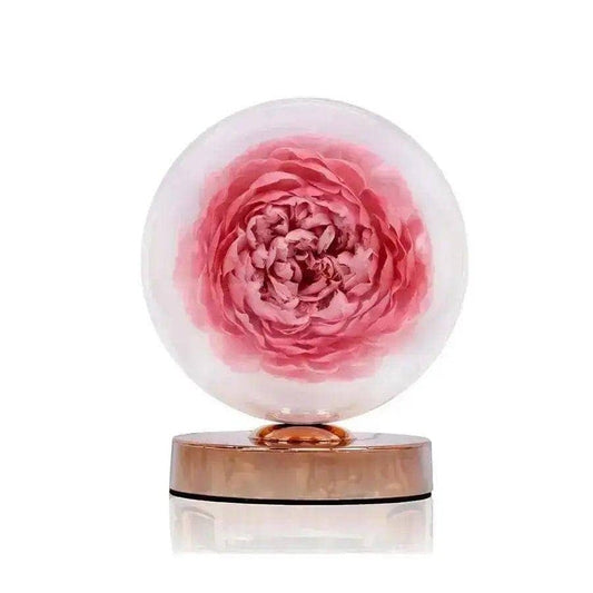 Luminous Austin Rose Flower Lamp - Imaginary Worlds