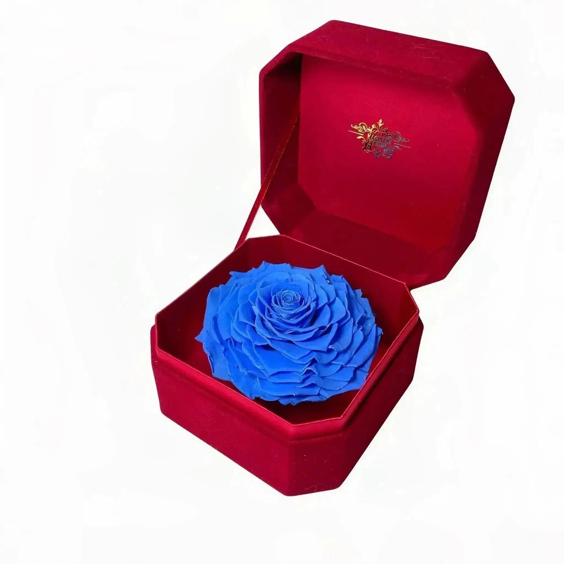 One-Love Preserved Rose - Yellow Rose Collection Edition - Imaginary Worlds